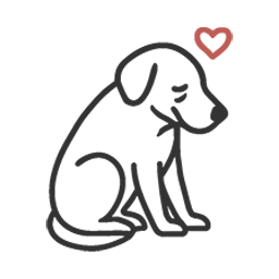 Verhaltensberatung für ältere Hunde